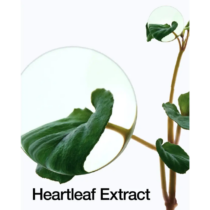 Ampoule Apaisante Hydratante 80% Heartleaf - 30ml - Novaa skin care