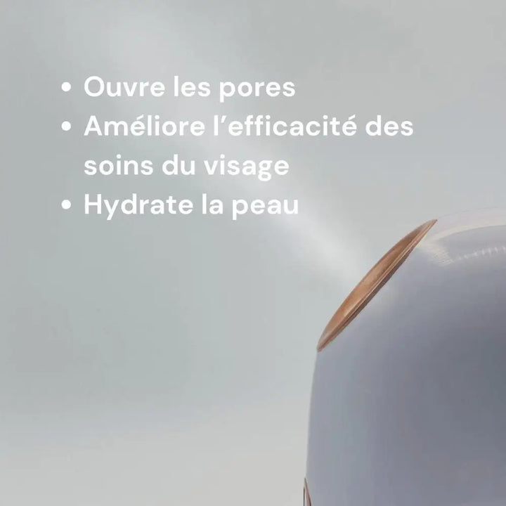Appareil de Nettoyage Visage à Vapeur pour Pores et Points Noirs