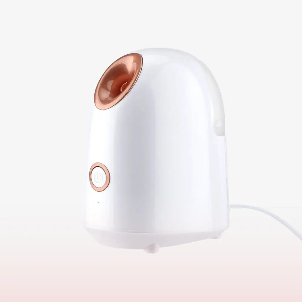 Appareil de Nettoyage Visage à Vapeur pour Pores et Points Noirs